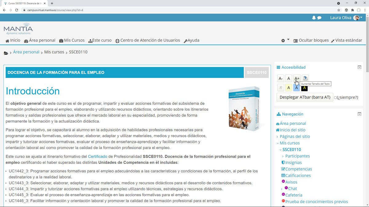 Plataforma de formación: Curso - Accesibilidad letra grande